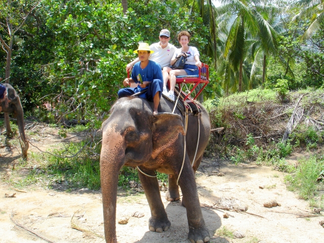 Elelphant Ride -Thailand