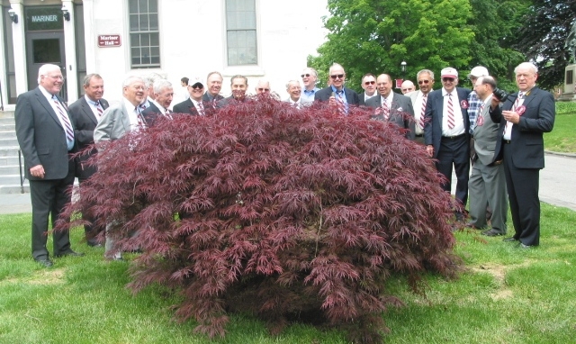 Founders Day - 17 May 2008 - Class of 58 with one of Class gifts, Cut Leaf Maple.- Perzel